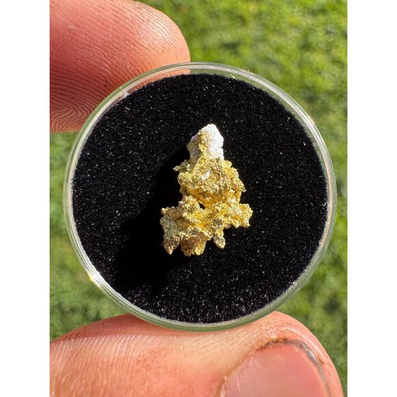 California Native Gold Crystal - 0.84 grams - Picture 2 of 5